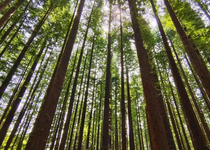 Casita Con Encanto Ii, Junto A Comillas דירה *